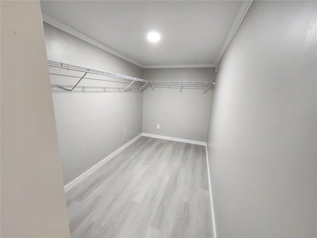 spacious closet with wood finished floors