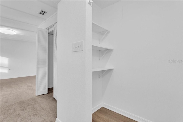 spacious closet featuring carpet floors