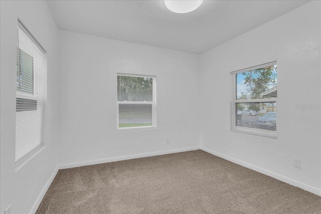 spare room featuring carpet floors and plenty of natural light