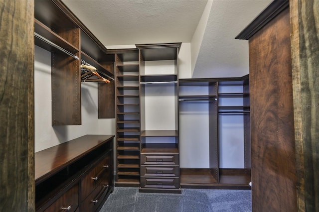 2160 Chianti Pl Unit 11-0117, Palm Harbor, FL 34683 - view of walk in closet