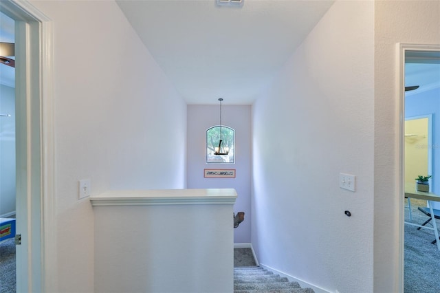 2160 Chianti Pl Unit 11-0117, Palm Harbor, FL 34683 - hall featuring baseboards, an inviting chandelier, an upstairs landing, and carpet