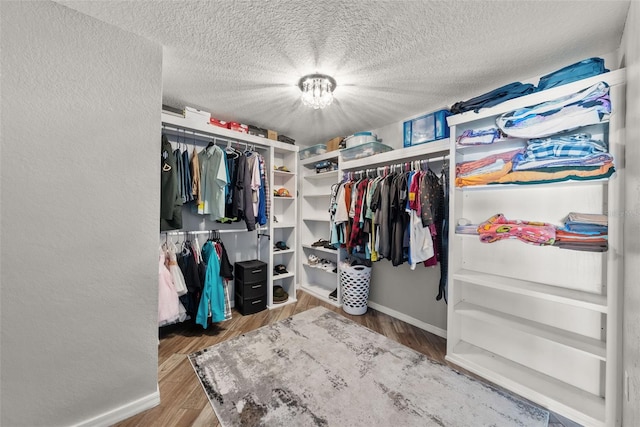 walk in closet with wood finished floors