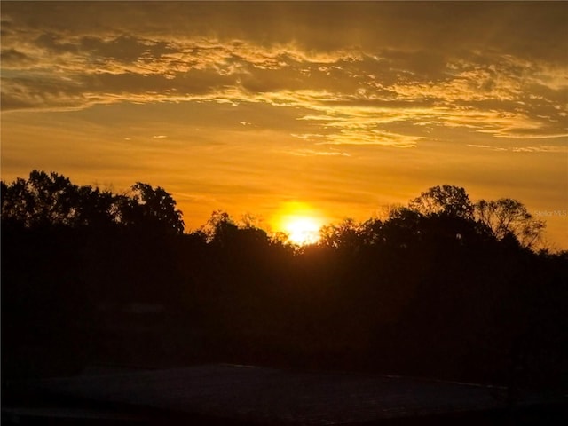 view of nature at dusk