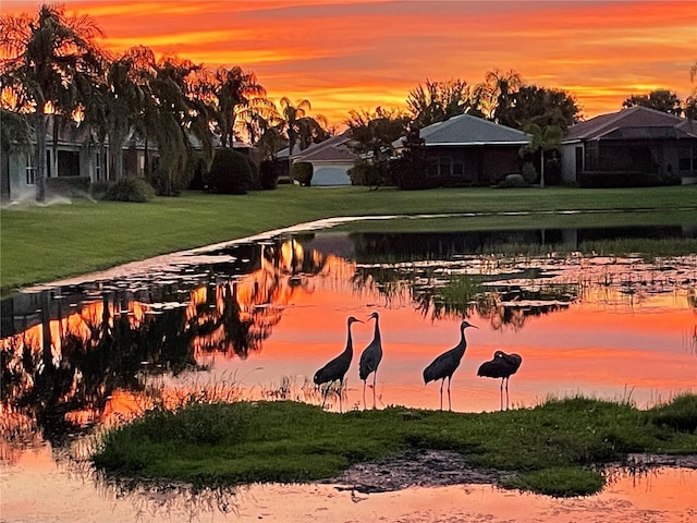 water view