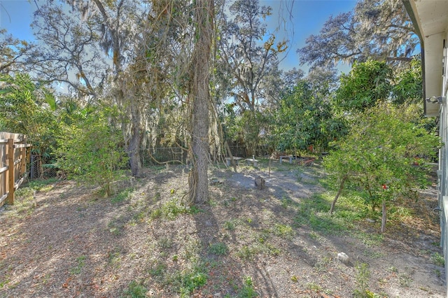 view of yard with fence