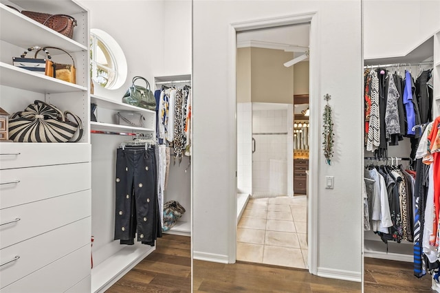 walk in closet with dark hardwood / wood-style floors