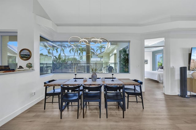 dining space featuring hardwood / wood-style flooring and a tray ceiling