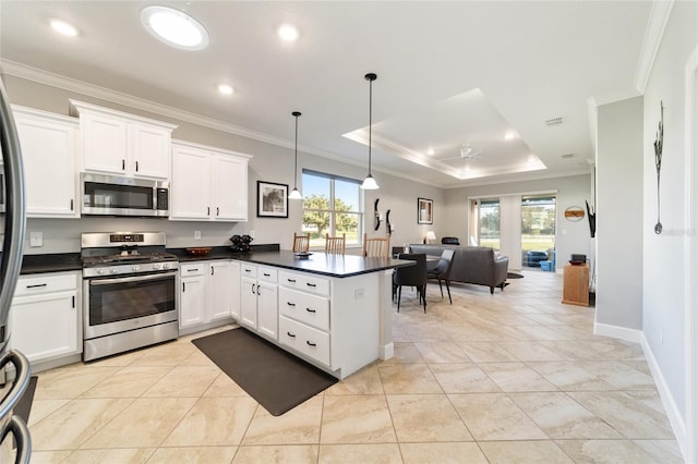 kitchen featuring white cabinetry, a raised ceiling, kitchen peninsula, pendant lighting, and stainless steel appliances