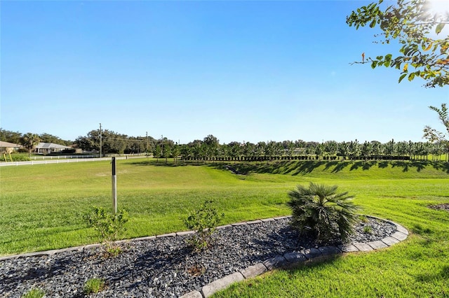 view of yard with a rural view