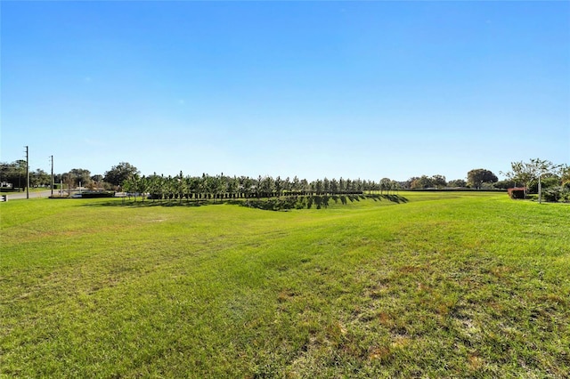 view of yard featuring a rural view