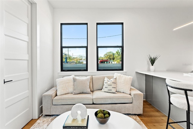 living room with hardwood / wood-style floors