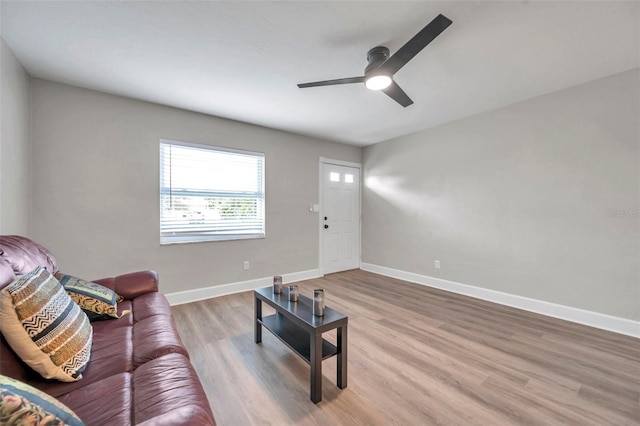 living room with ceiling fan and hardwood / wood-style flooring