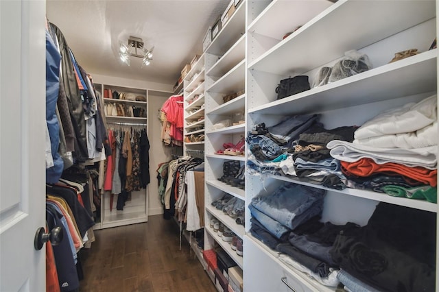 walk in closet with dark wood-type flooring