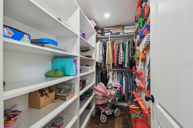 spacious closet featuring wood-type flooring