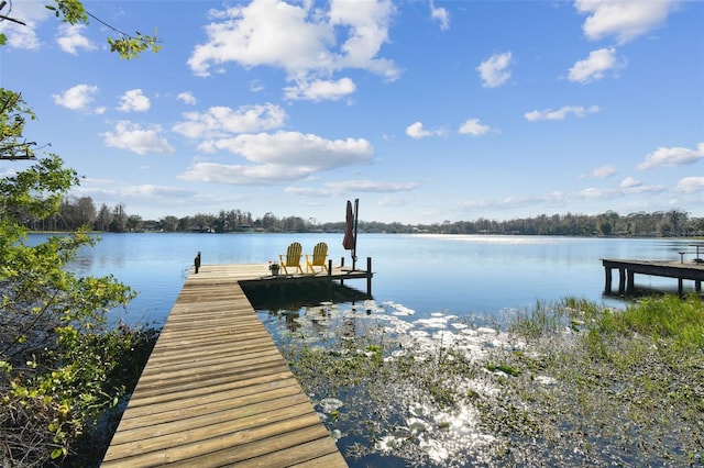 view of dock featuring a water view