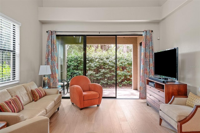 living room with light hardwood / wood-style floors