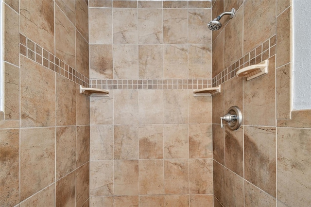 interior details featuring tiled shower