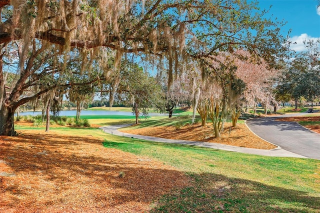 view of community with a lawn and a water view