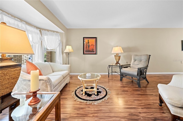 living room featuring hardwood / wood-style flooring