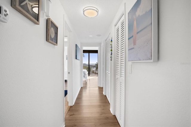 hall with a wall of windows and hardwood / wood-style floors