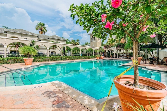 view of swimming pool with a patio