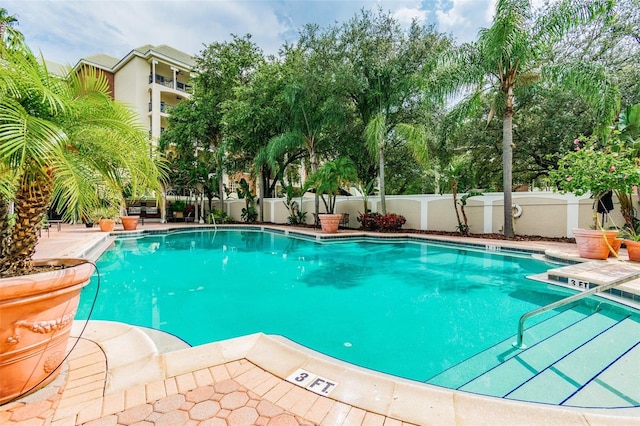 view of swimming pool