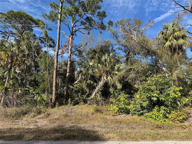 18106 Luscar Ave, Port Charlotte FL, 33954 land for sale