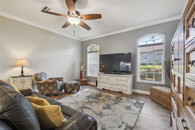 living room featuring ceiling fan, ornamental molding, and hardwood / wood-style floors