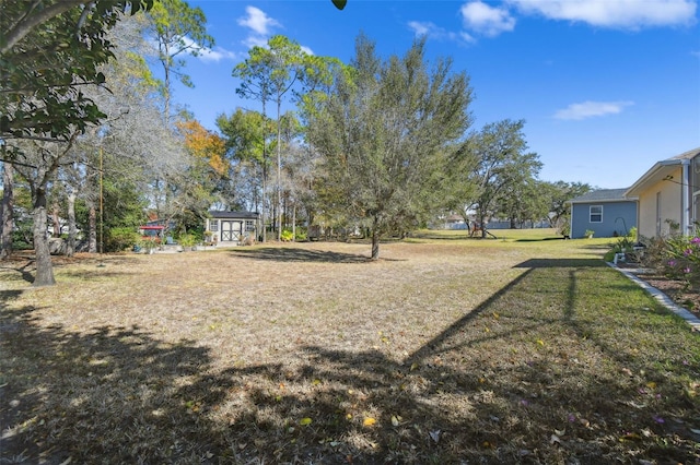 view of yard with a storage unit