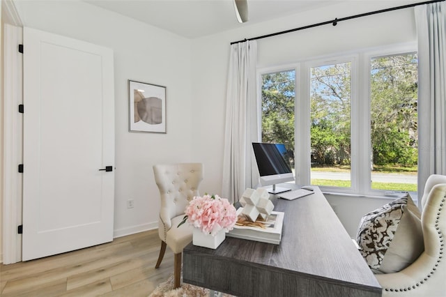 home office featuring plenty of natural light and light hardwood / wood-style floors