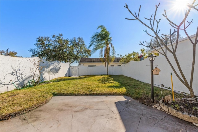 view of yard featuring a patio