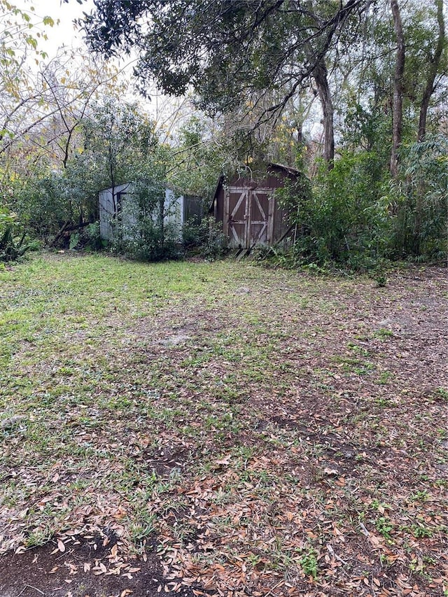 view of yard featuring a storage shed