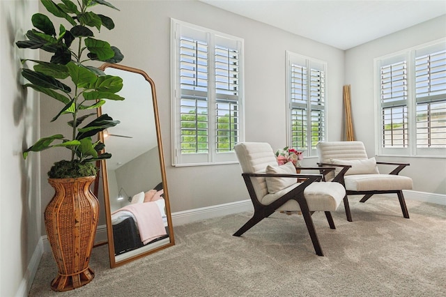 living area with carpet flooring