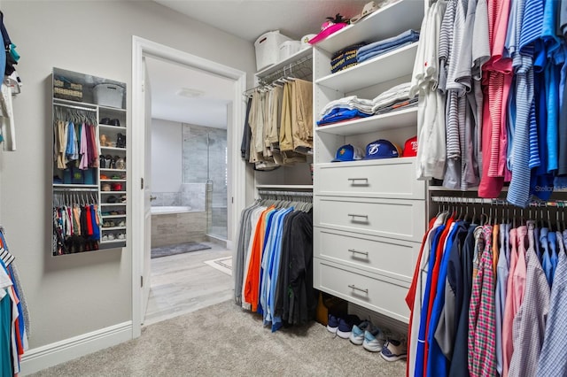 spacious closet with light carpet