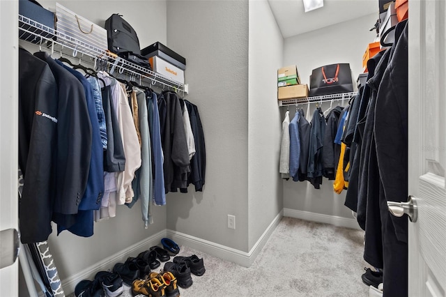 spacious closet featuring carpet flooring