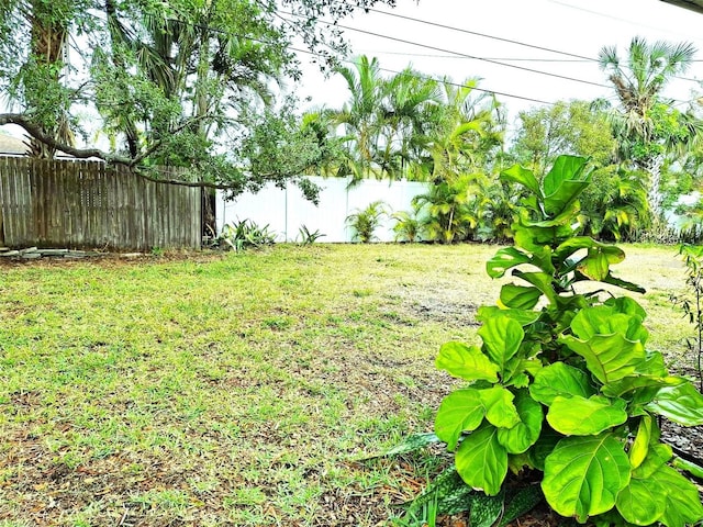 view of yard