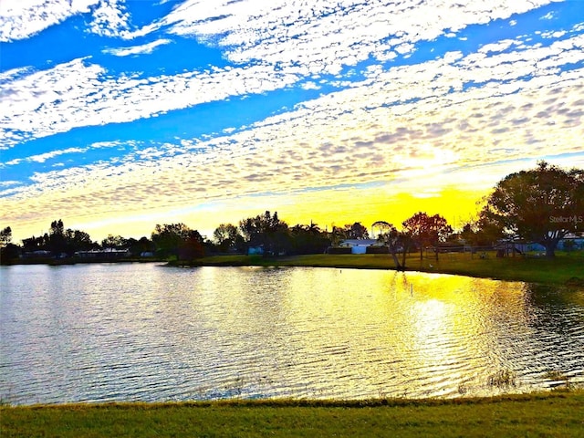 view of water feature