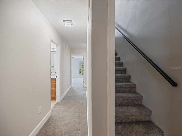 staircase featuring a textured ceiling and carpet flooring