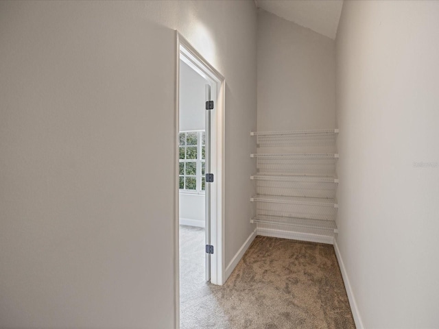 interior space featuring carpet flooring