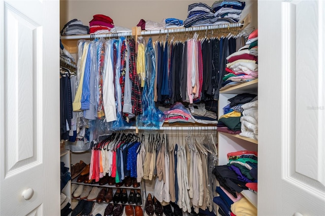 view of walk in closet