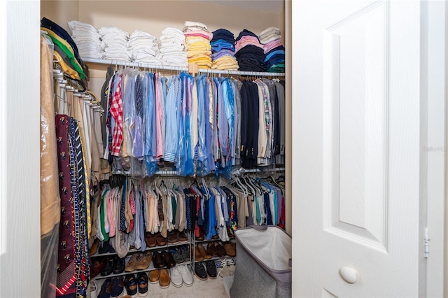 view of walk in closet