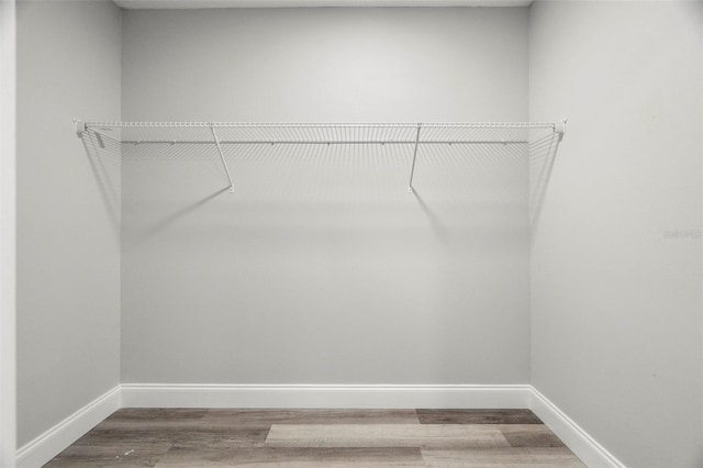 spacious closet featuring wood-type flooring