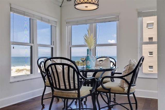 dining room featuring a wealth of natural light, dark hardwood / wood-style flooring, ornamental molding, and a water view