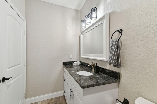 bathroom featuring wood-type flooring and vanity