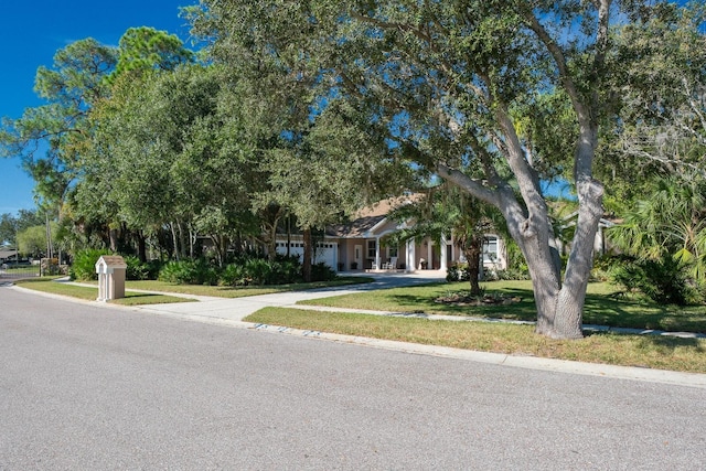 view of property hidden behind natural elements with a front lawn