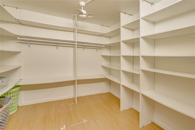 walk in closet featuring ceiling fan and light hardwood / wood-style floors