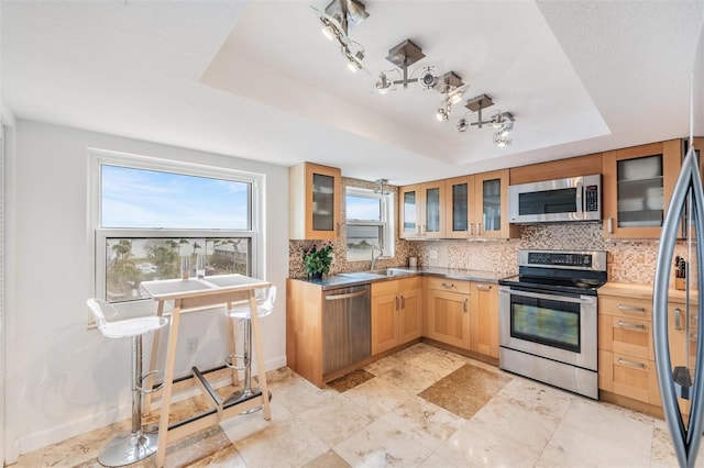 kitchen with sink, tasteful backsplash, a tray ceiling, and appliances with stainless steel finishes