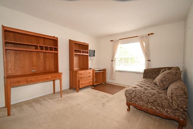 sitting room with light colored carpet