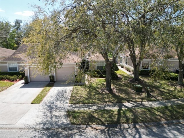 view of property hidden behind natural elements featuring a garage and concrete driveway