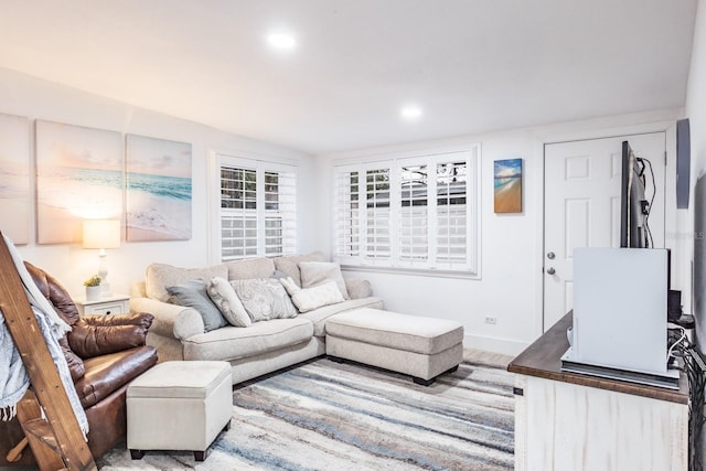 living room featuring hardwood / wood-style floors